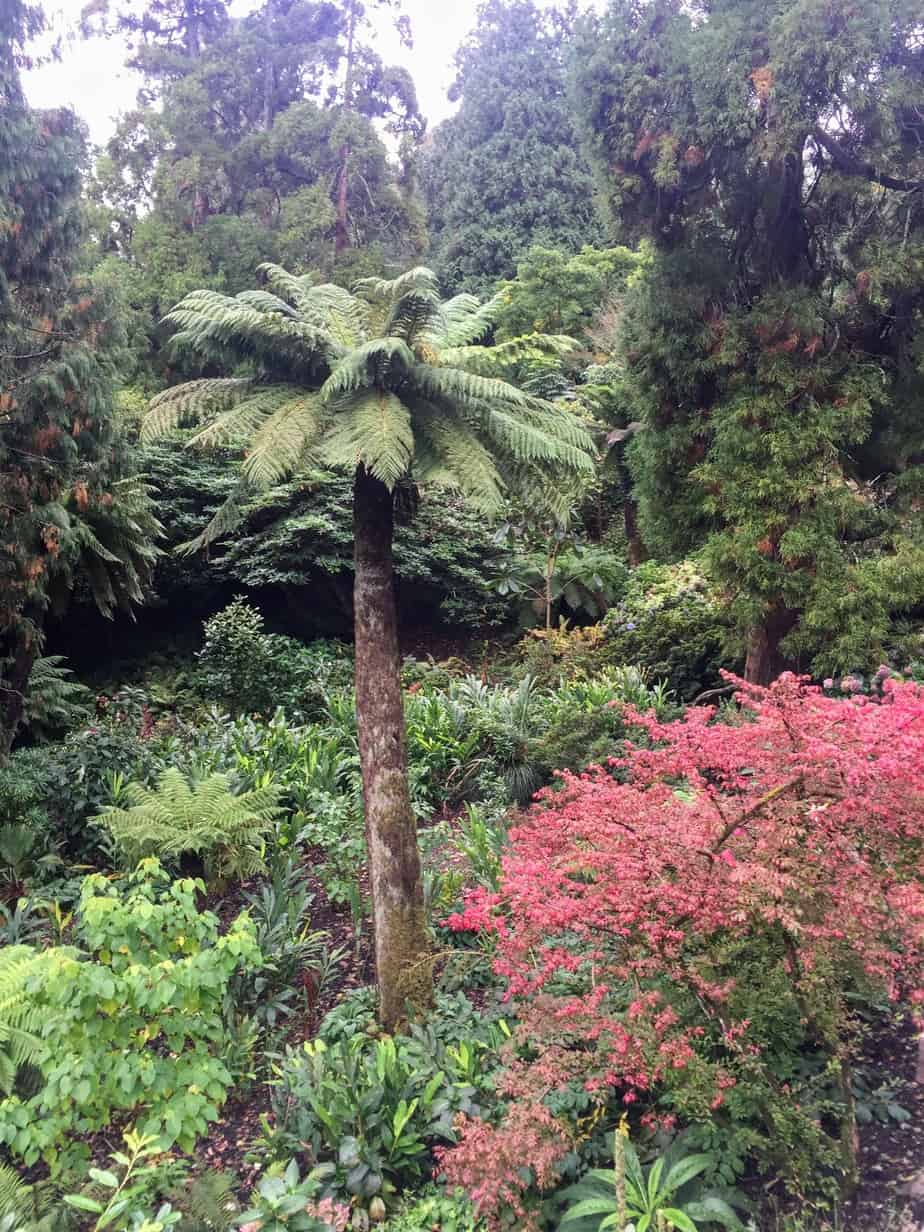 Trelissick House and Gardens - National Trust - Visit Cornwall TV